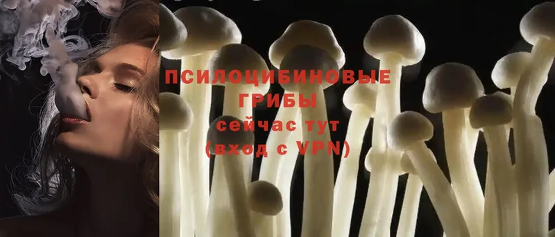 Галлюциногенные грибы MAGIC MUSHROOMS  hydra рабочий сайт  Камышлов 